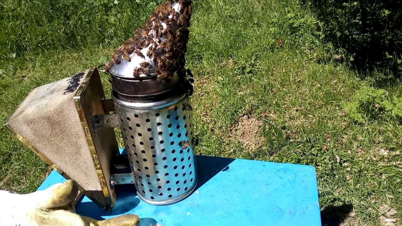 Лечение пчелиными укусами и пчелопродуктами — польза и вред пчелоужаливания для организма