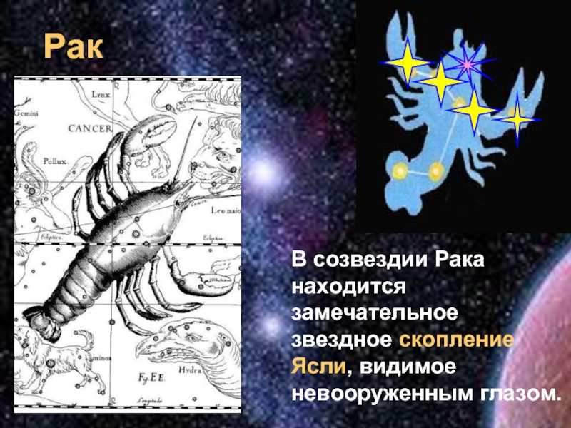 Рак: зодиакальное созвездие | астромиф v.2.0