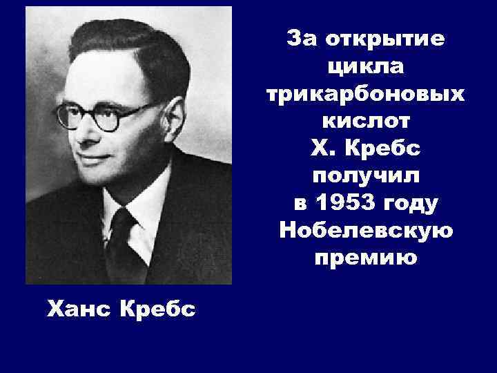 Ганс адольф кребс