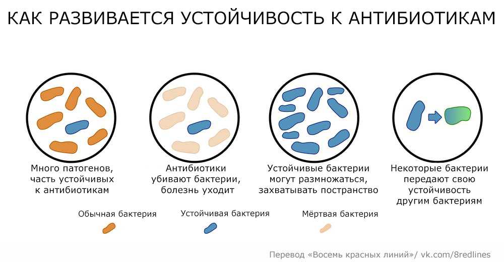 Российские ученые создали мировую карту устойчивости к антибиотикам