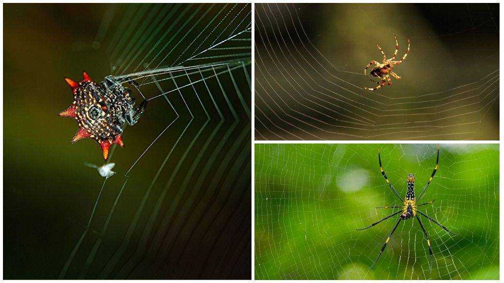 Ответы на любые вопросы