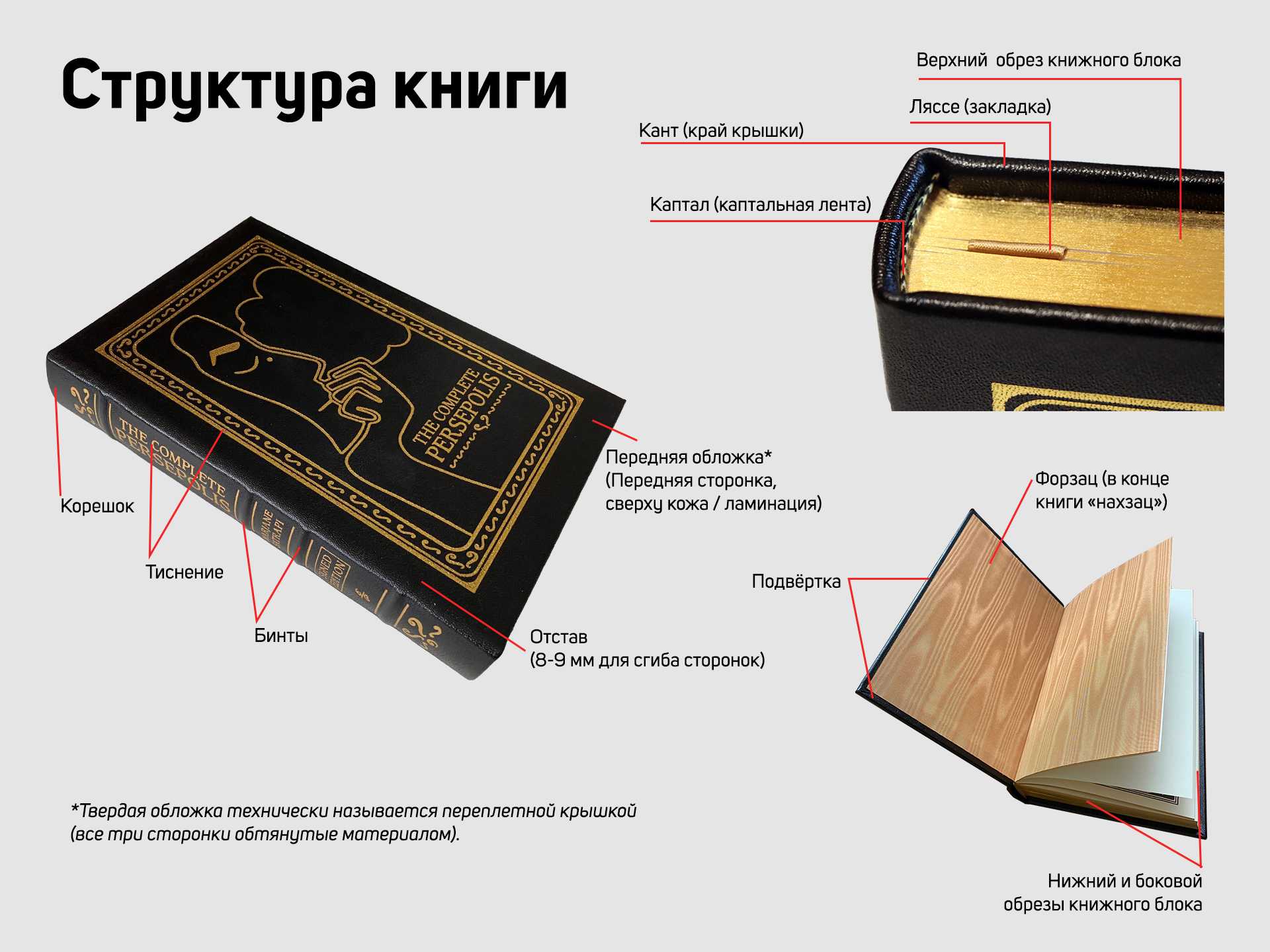 Почему печатная книга проживет еще 500 лет? | либинформ