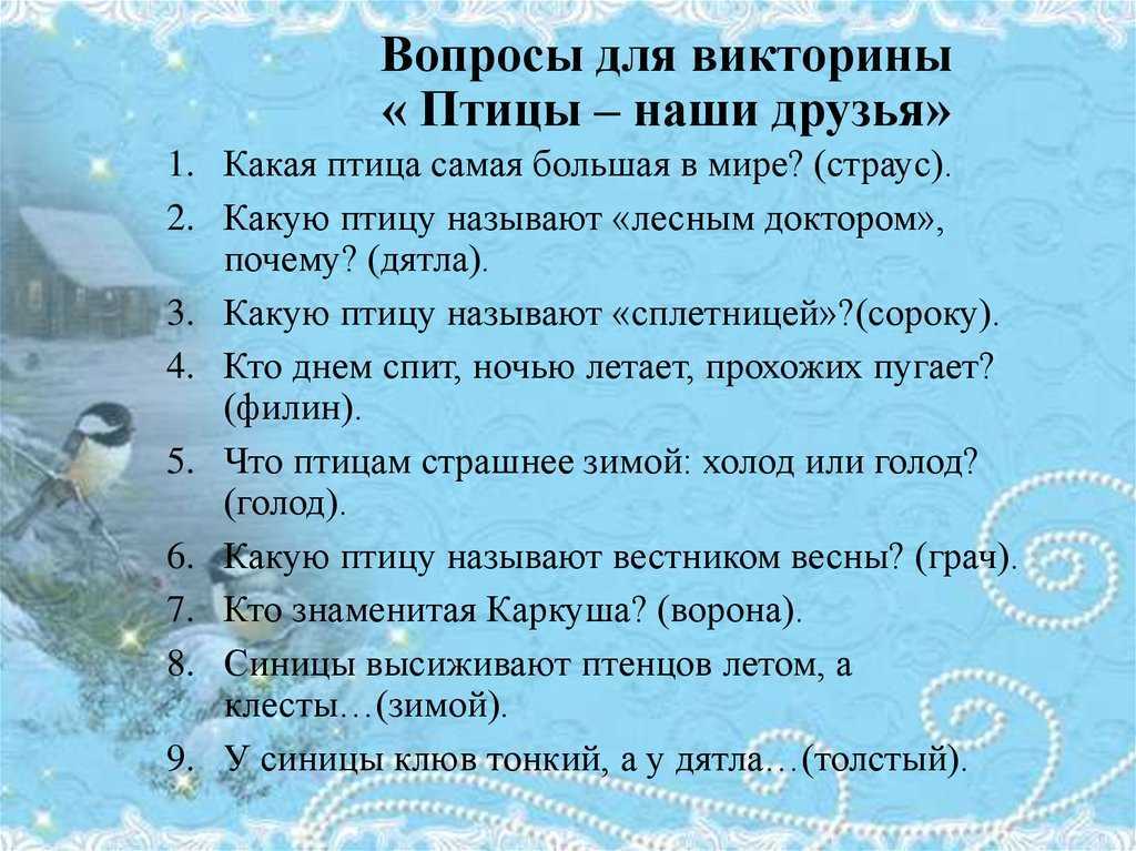 38 абсурдных и бессмысленных вопросов (с хитрым или мало очевидным ответом)