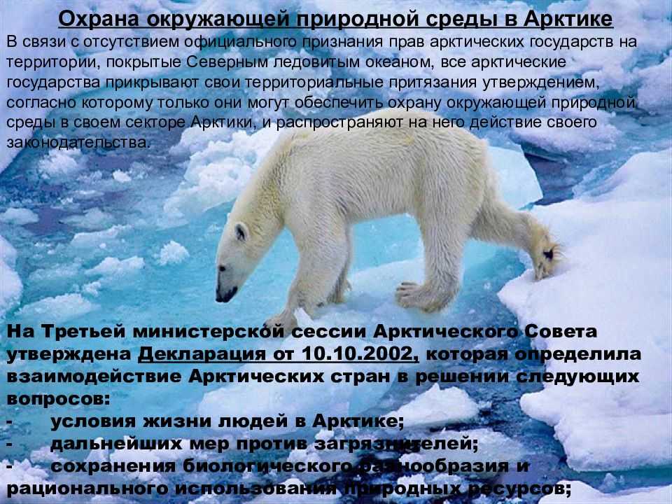 Заведующий лабораторией арктических исследований тои дво ран игорь семилетов: адскую кухню планеты – самый крупный выброс метана – до километра в поперечнике обнаружили учёные в морях восточной арктики      | дв-росс — новости дальнего востока