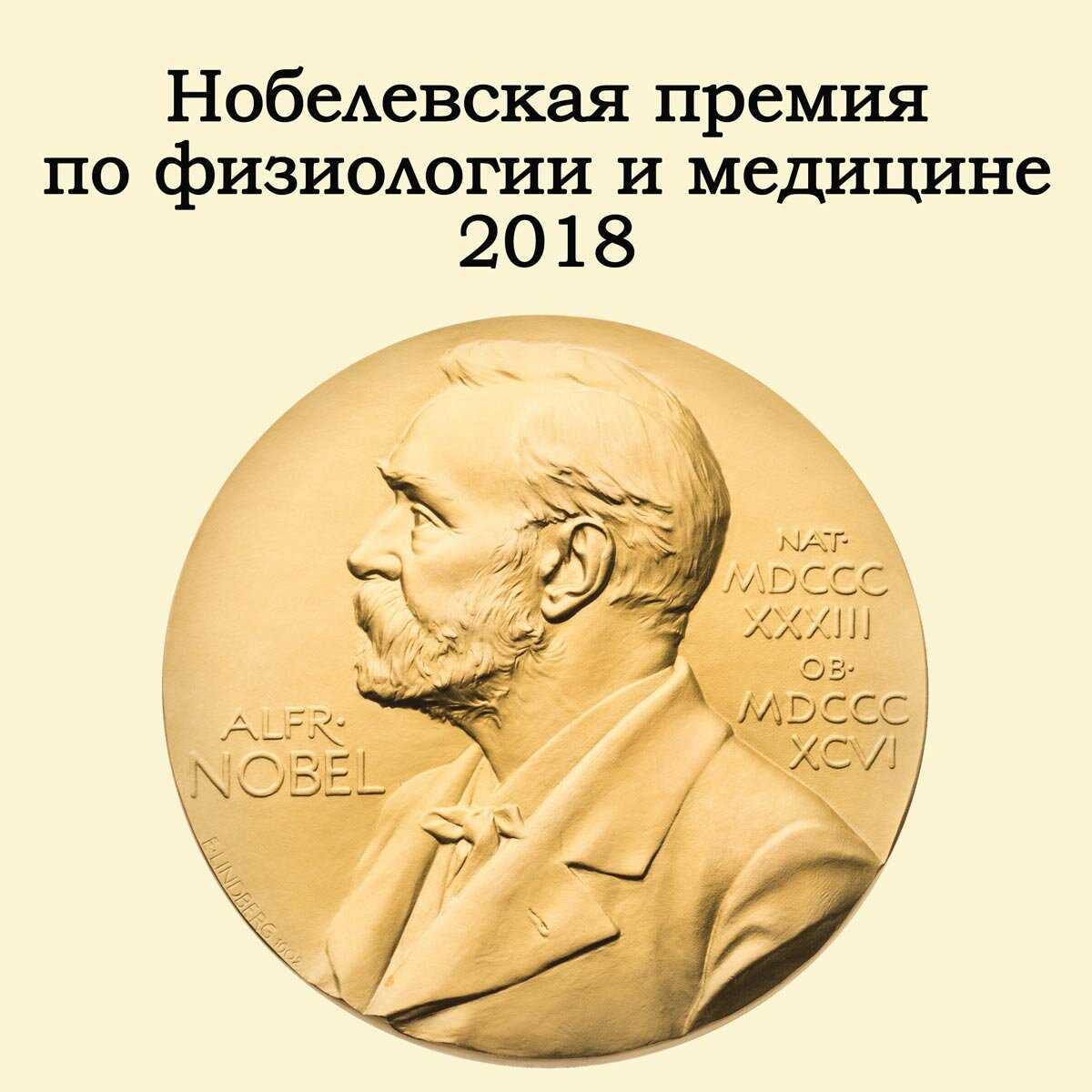 Пауль херманн мюллер