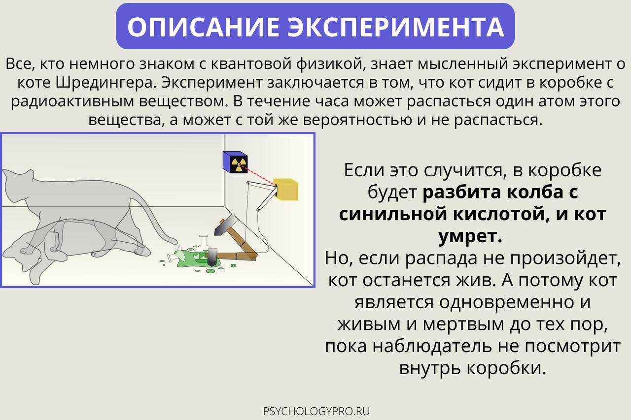 Шредингер эрвин. книги онлайн