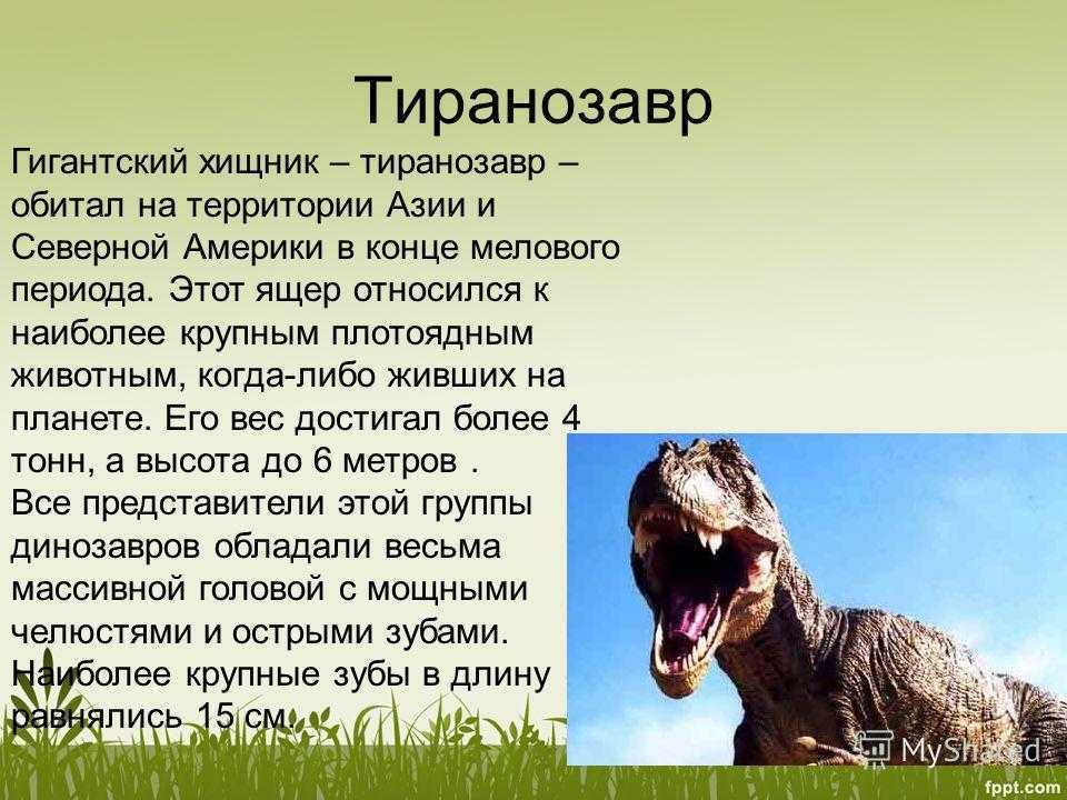 Самые древние существа на земле, обитающие по сей день