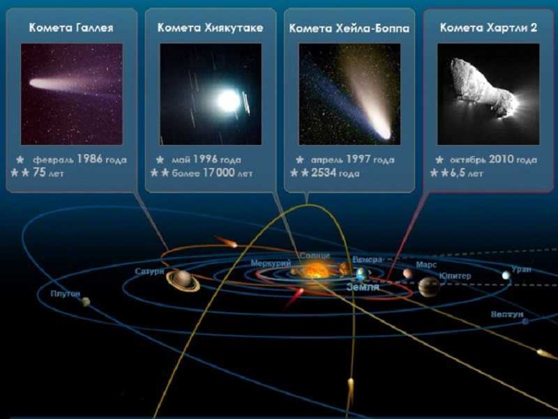 Астероиды и кометы: сходства, отличия, движение