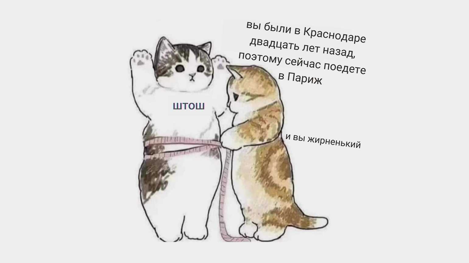 Глава 4 все остальное. тайная жизнь чисел [любопытные разделы математики]