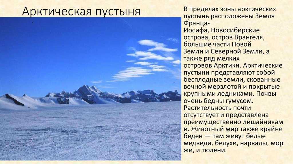 Арктика