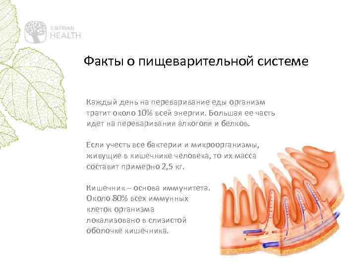 Еда и эмоции (отрывок из книги) | simple wine news
