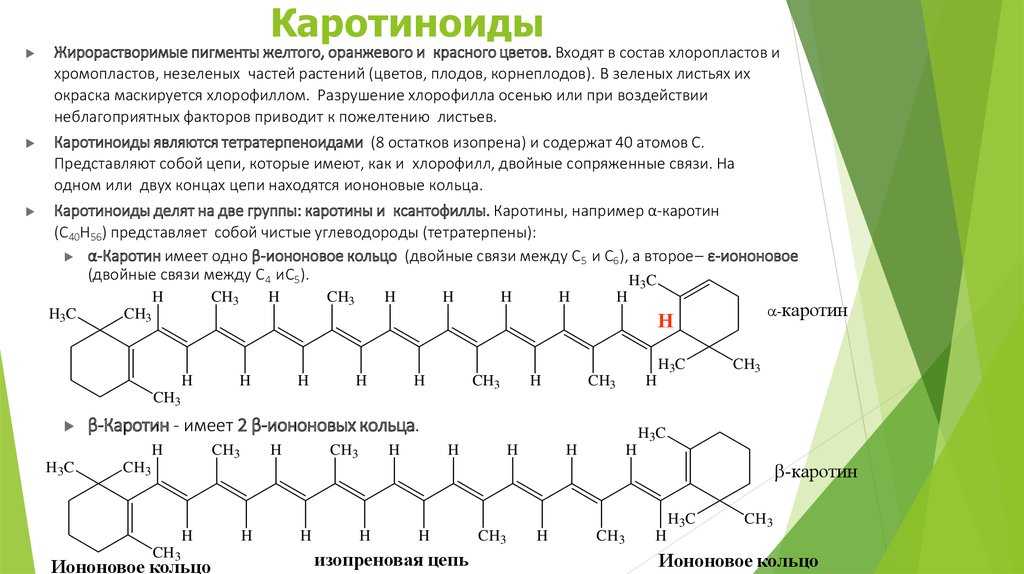 Бета-каротин и рак легких - совет 2023