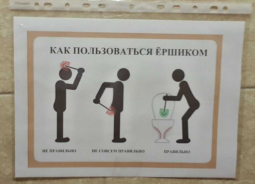 Возвращение к природе: 8 самых диких мест в европе