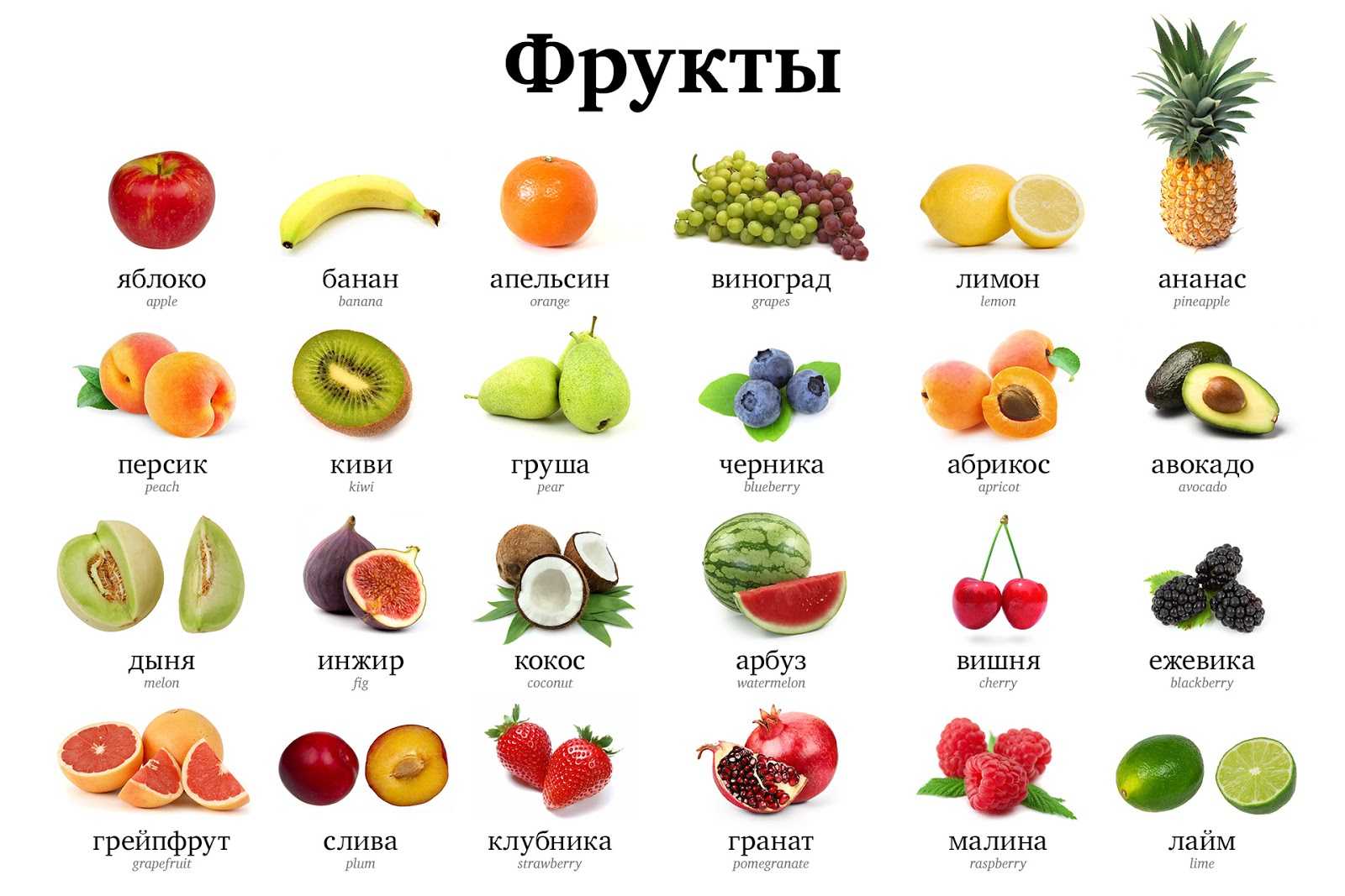 Классификация и разнообразие плодов: развитие и строение, таблица с видами, способы распространения
