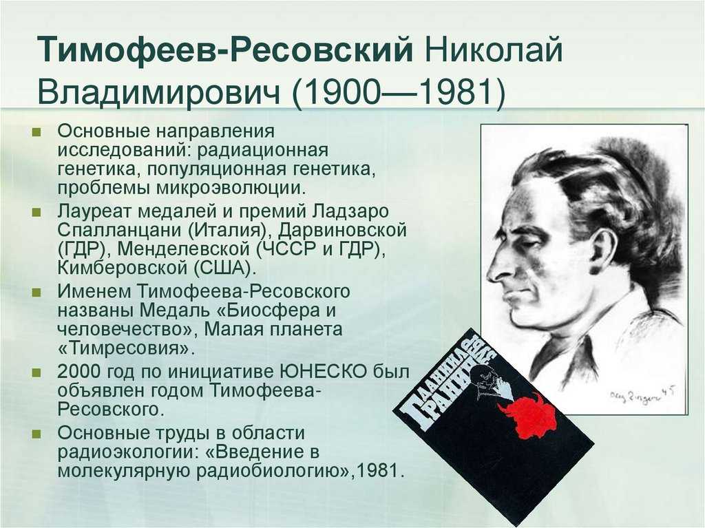 Гений без диплома. как яков зельдович вошёл в историю атомного проекта ссср • николай стариков