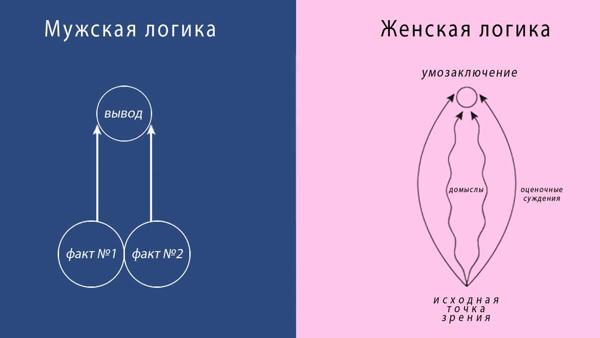 К чему снится животное 💤 — топ толкований сна ❗ по 50 разным сонникам: что означает для мужчины или женщины видеть много домашних или экзотических зверей