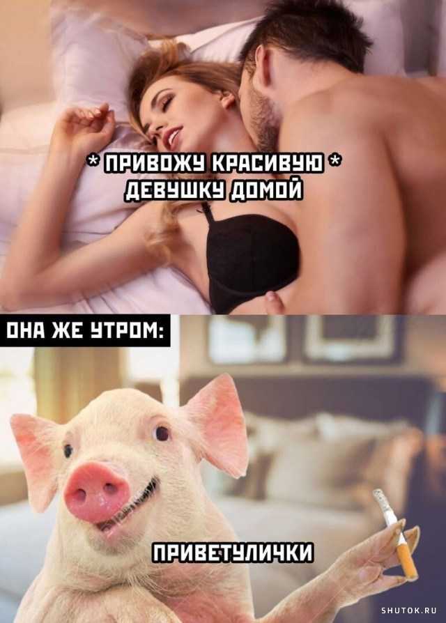 15 невероятно ироничных фактов, которые вас как следует рассмешат