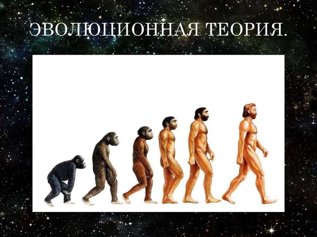 Рональд фишер