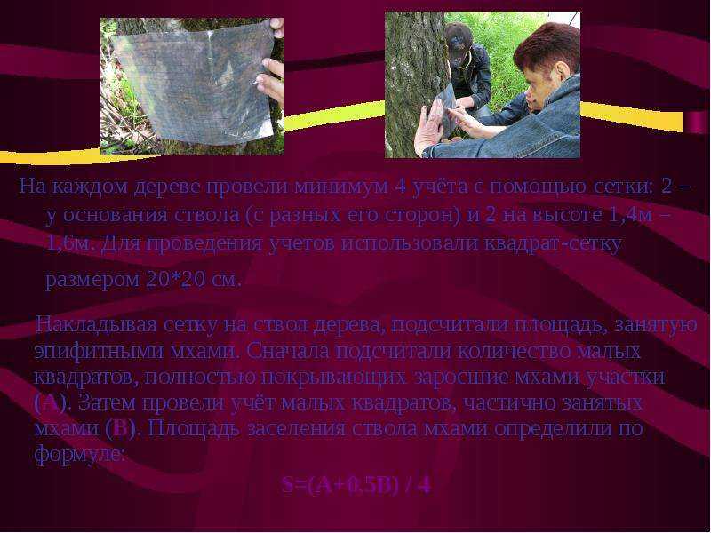 Метод лихеноиндикациии - neobionika.ru - сайт о дополнительном образовании: обучающие материалы для самообразования
