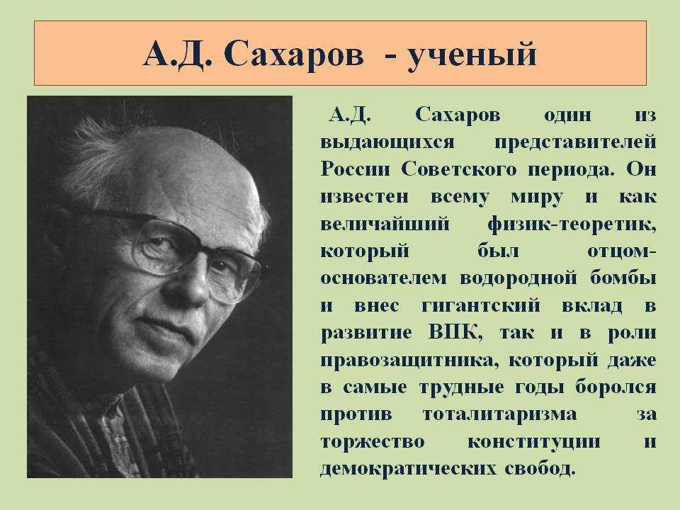 Деревья могут прийти на замену бензину - разные интересные новости в мире | esoreiter