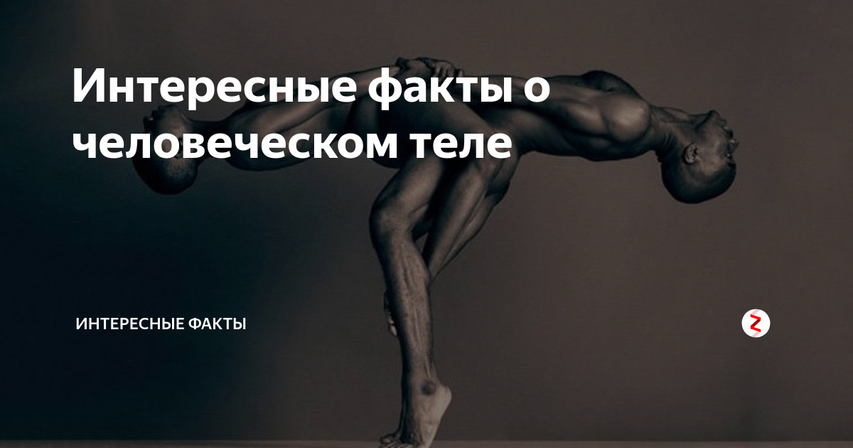Короткие и любопытные факты обо всем на свете