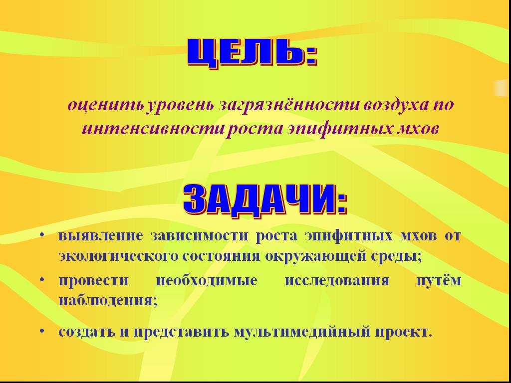Значение мхов в природе: почему они важны и какие функции выполняют мхи