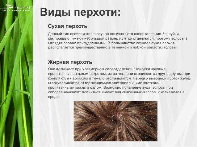 Шампунь от перхоти – как выбрать? - клиника «доктор волос»