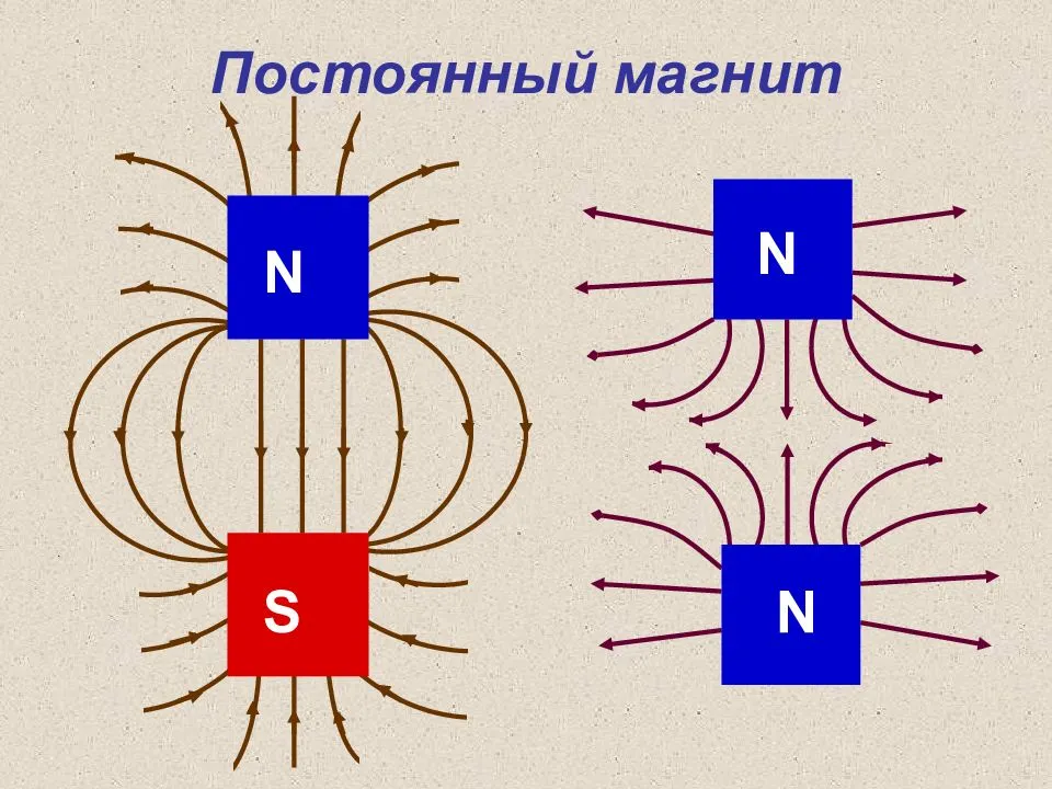 Полюсы постоянного магнита: что это такое и как они формируются