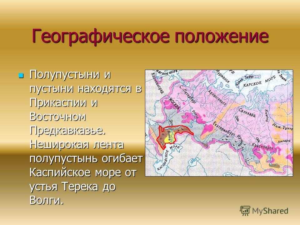 Пустыни и полупустыни — климат, животный мир и растительность