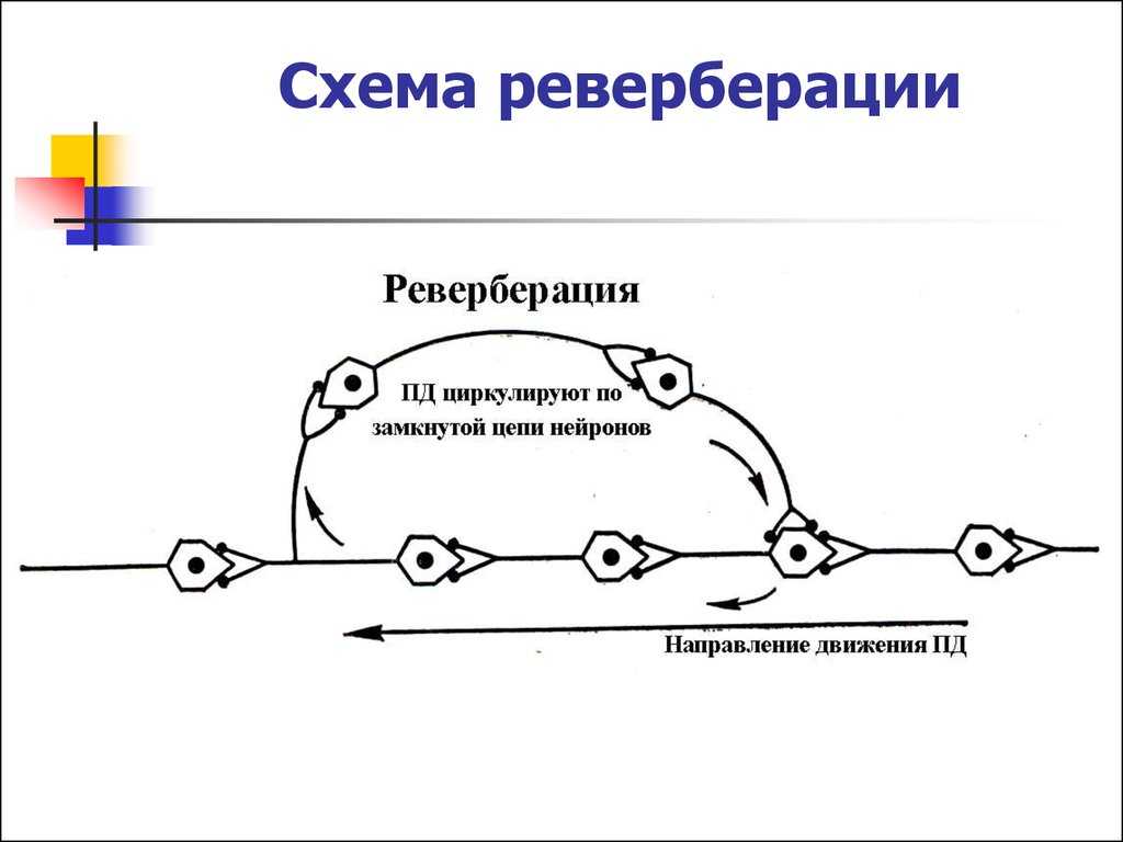 Как античные строители и современные архитекторы добиваются хорошей акустики в концертных залах, что такое реверберация и какие карты составляют завсегдатаи консерваторий, выяснял обозреватель  Владимир Покровский