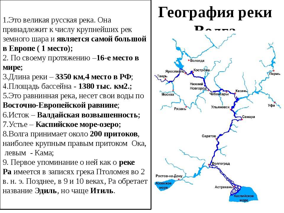 В какое море впадает волга: куда впадает и откуда начинается, интересные факты о реке - gkd.ru
