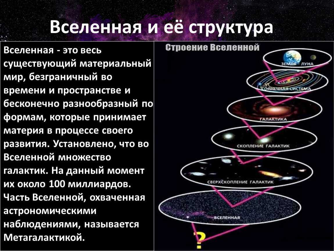 Человек в цифрах: интересные факты о человеческом теле