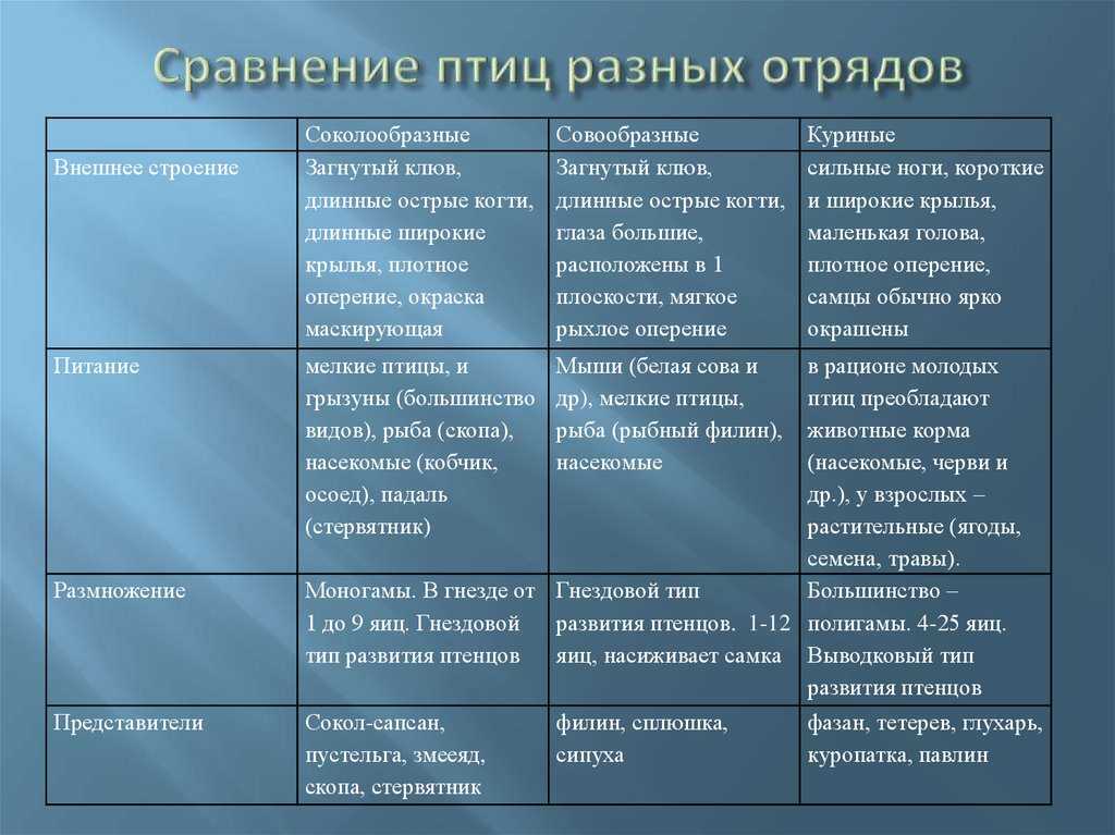 Зимующие птицы россии с названиями и фото для детей всех групп