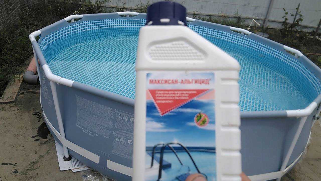 Что делать если в бассейне зеленеет вода