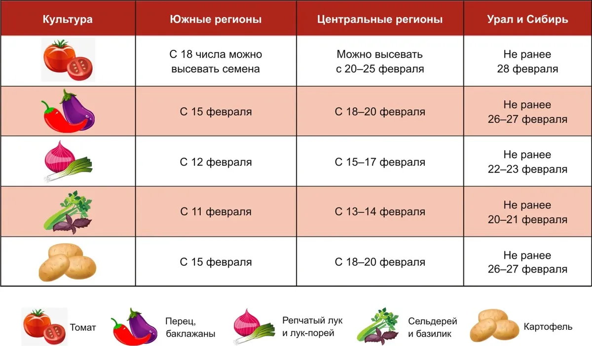 о том, почему ягоды рябины горькие на вкус Как влияют низкие температуры на рябину