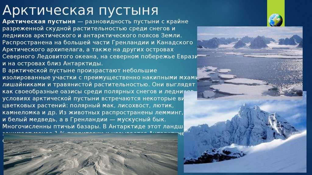 Какое лето бывает на северном полюсе: температура воздуха и воды | интересный сайт