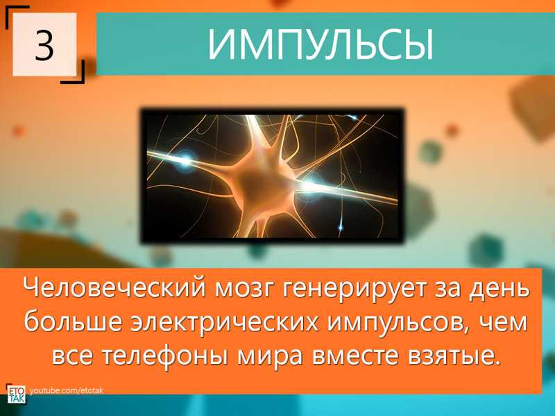Почему чикаго называют городом ветров?