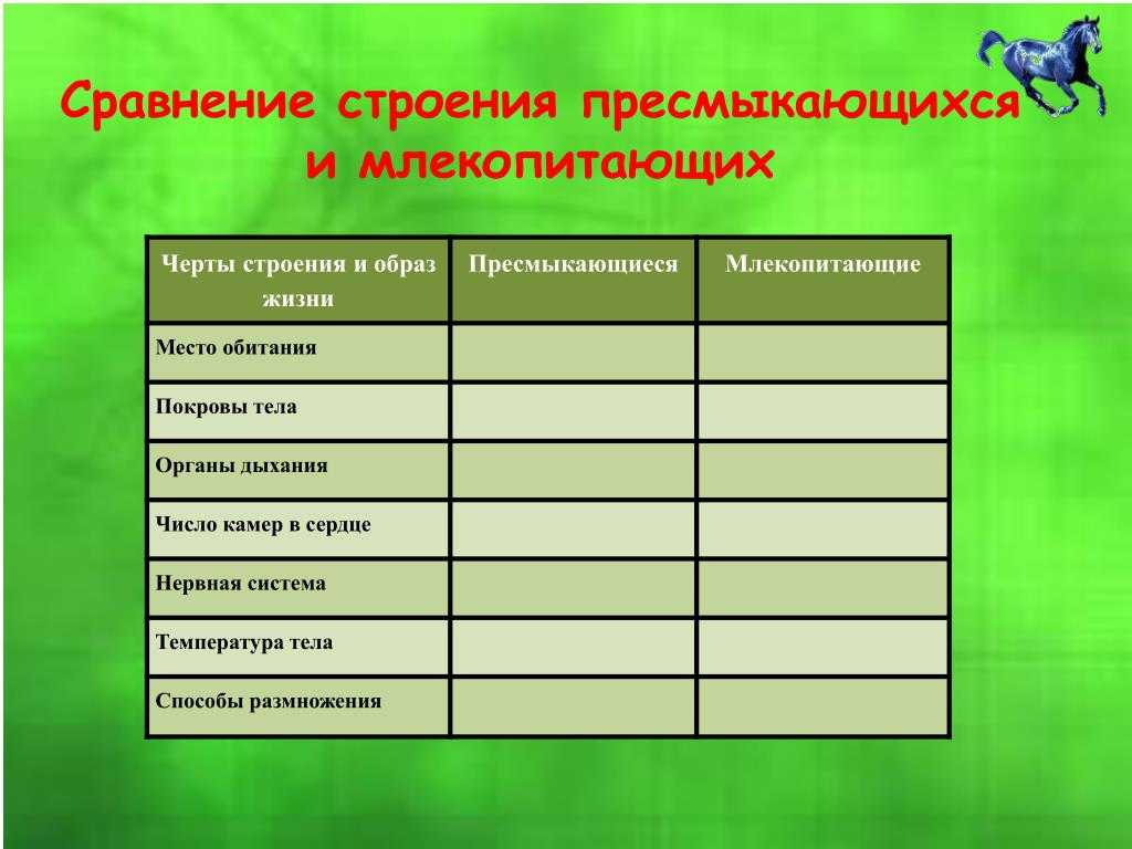 Виды животных