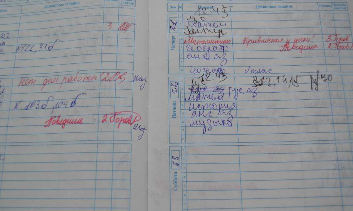 Сколько языков останется к концу xxi века и что мы можем с этим сделать | рбк тренды