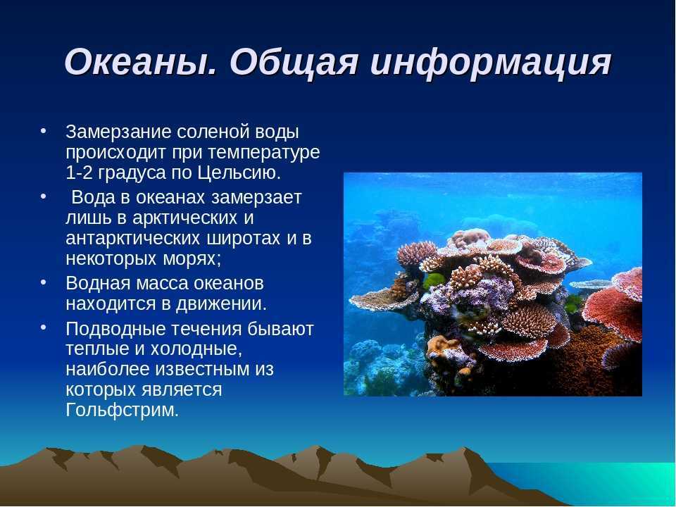 Сколько океанов на земле: общая характеристика и особенности вод мирового океана