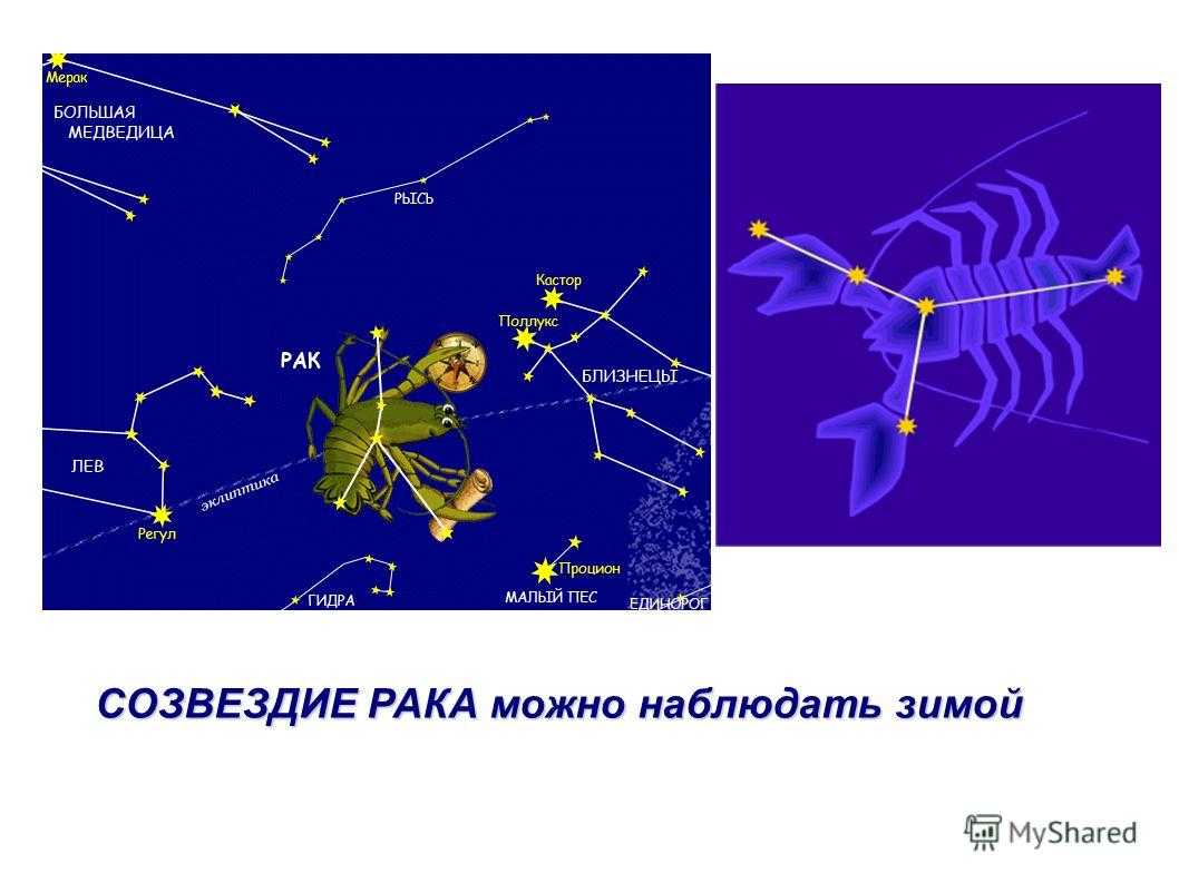 Созвездие рак