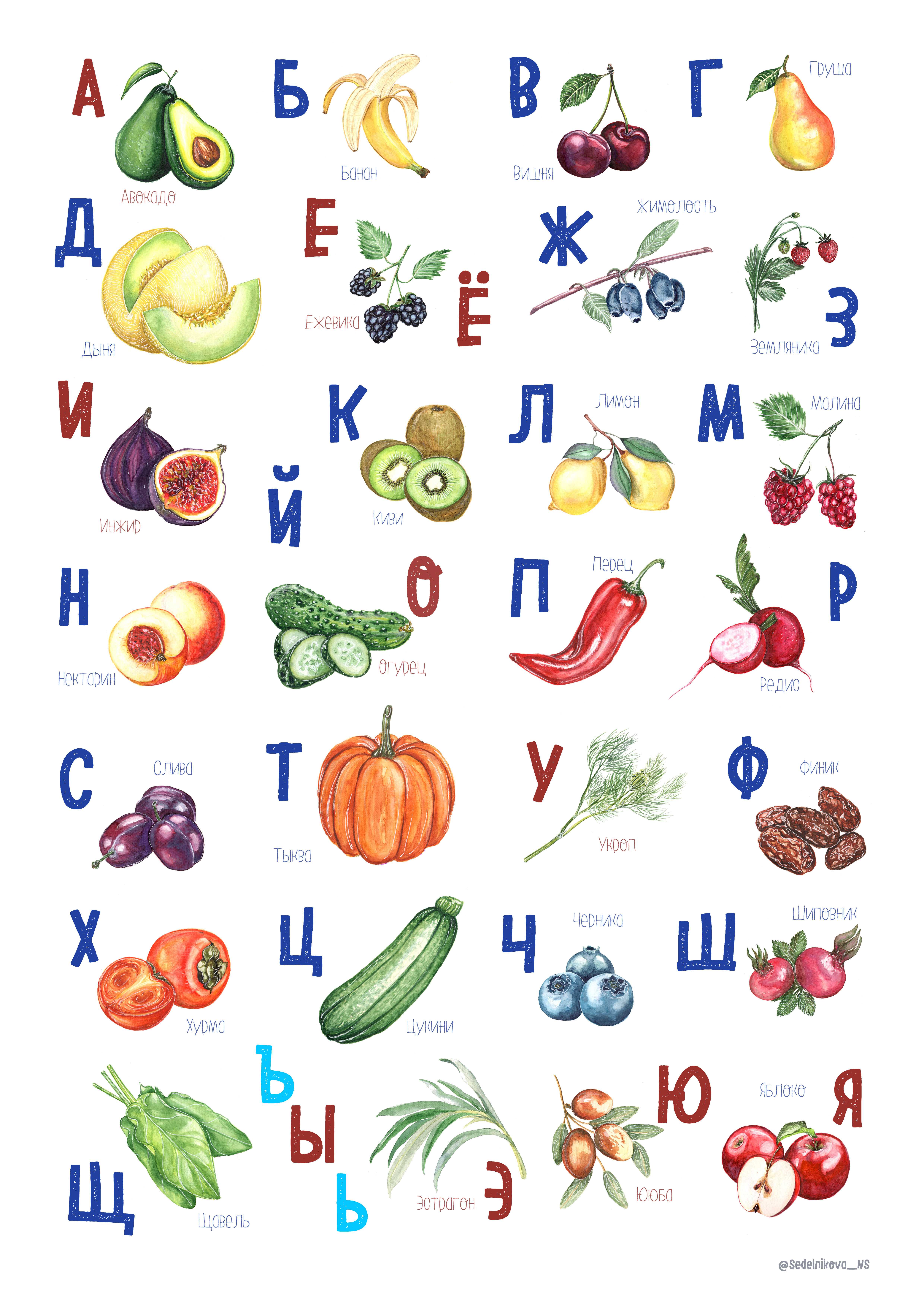 Плоды и семена