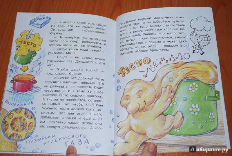 Есть вопрос: откуда берутся дырки в сыре