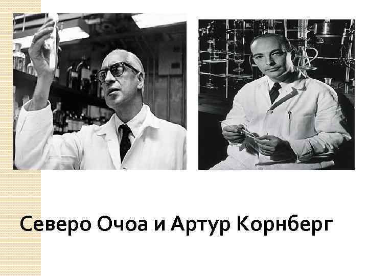 О кумире молодости, о любви и умении удивляться, об удачливой аспирантке и о втором испанском нобелиате в области физиологии или медицины, рассказывает наш очередной выпуск рубрики Как получить Нобелевку