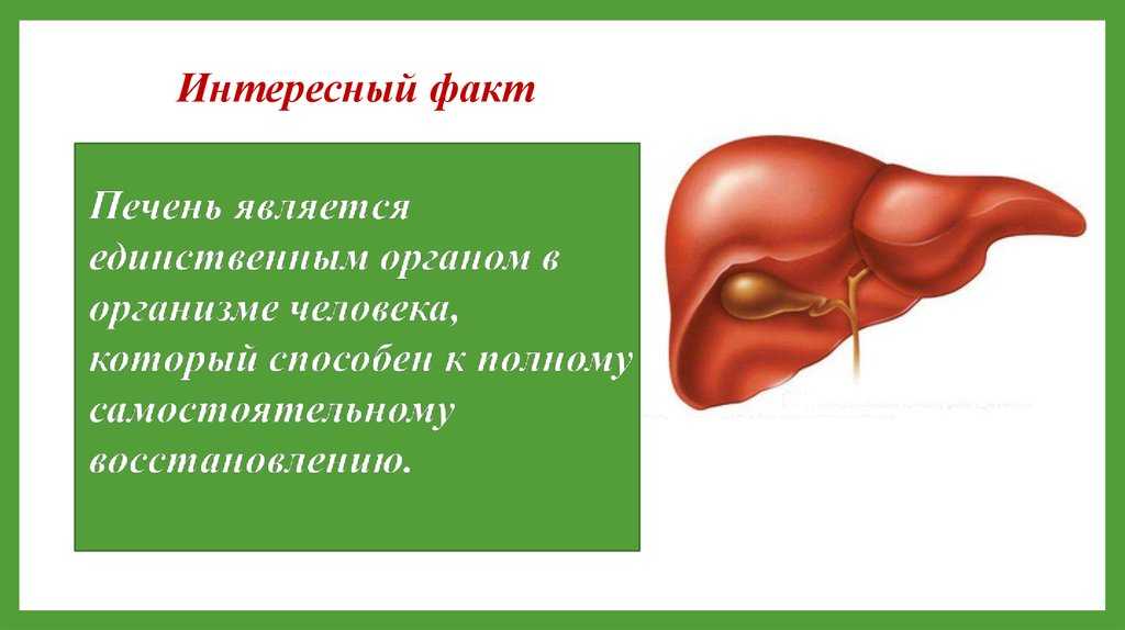Как улучшить пищеварение: советы и рекомендации