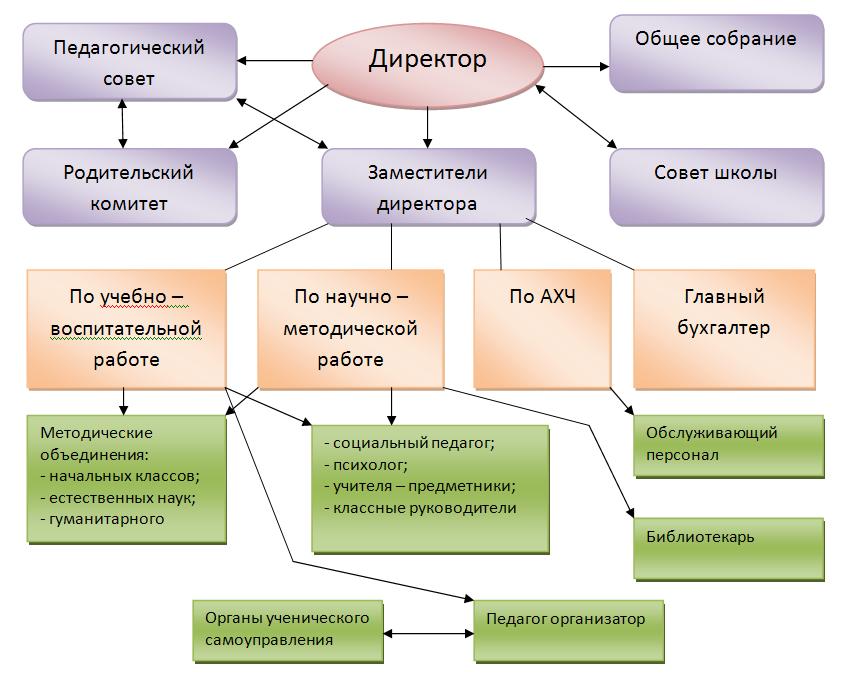 Чем лицей и гимназия отличаются от школы: в чем между ними разница и что лучше