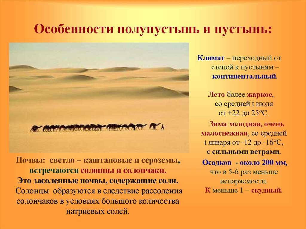 Самая сухая пустыня атакама в южной америке: описание, интересные факты и фото