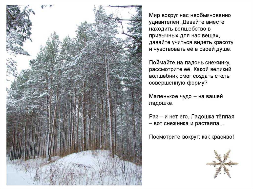 Мир вокруг нас - удивительное место, и кажется, что мы никогда не перестанем удивляться этому Если вы думаете, что видели, прочитали или узнали все, вы