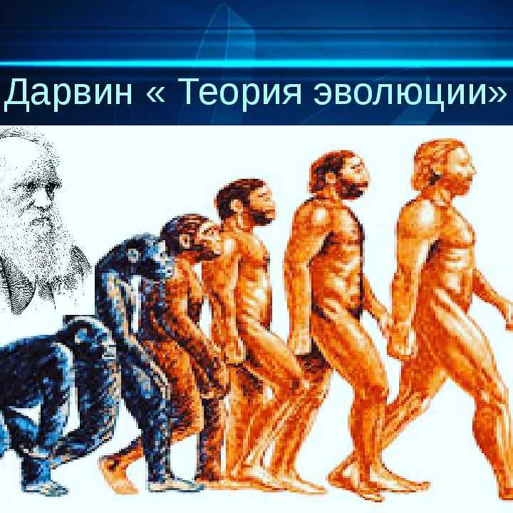 Опровержение теории эволюции дарвина. опровержения теории эволюции чарльза дарвина