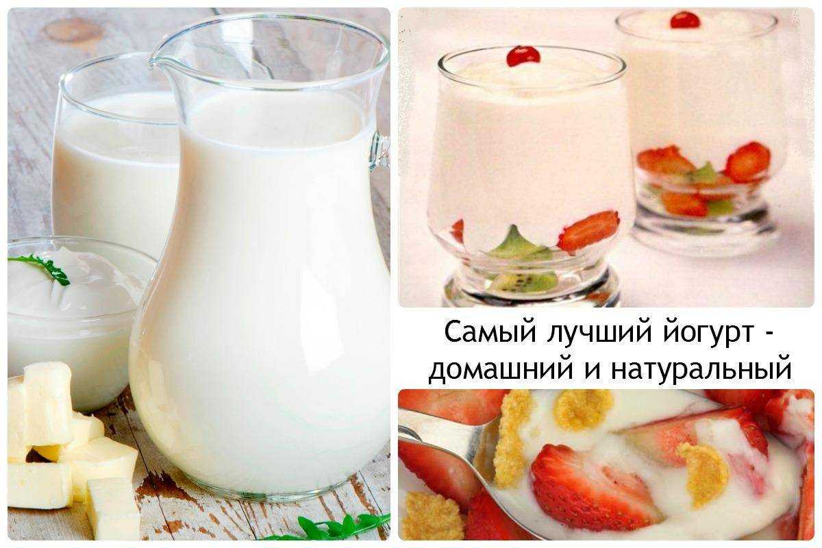Какая разница между кефиром йогуртом простоквашей и ряженкой? - все о еде